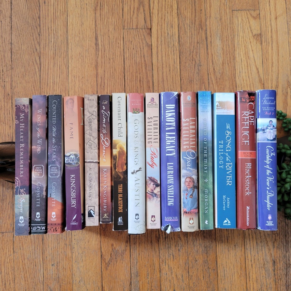 17 Christian Fiction Book Lot Karen Kingsbury Lauraine Snelling Terri Blackstock